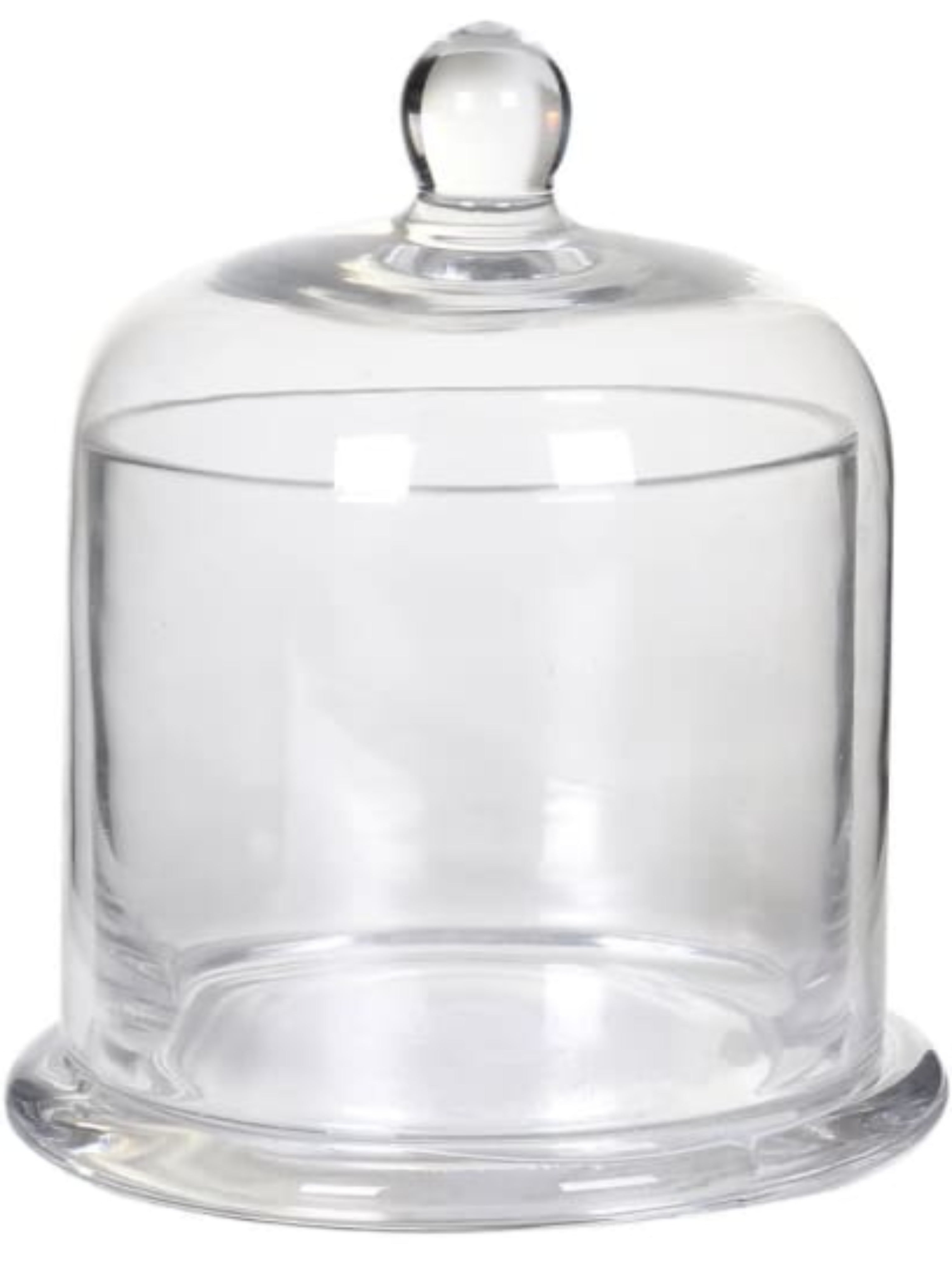 Glass Cloche