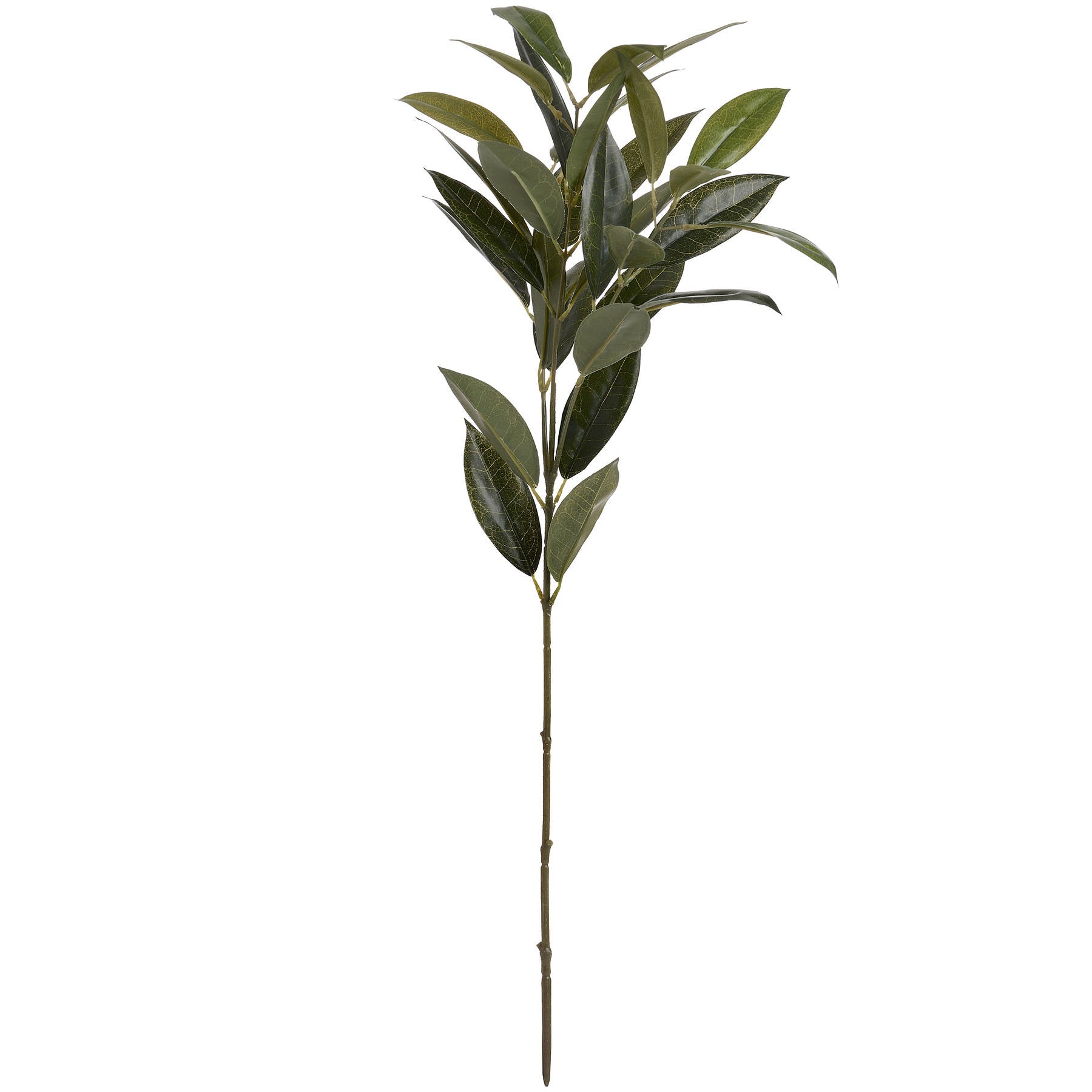 Faux Bay Leaf Stem