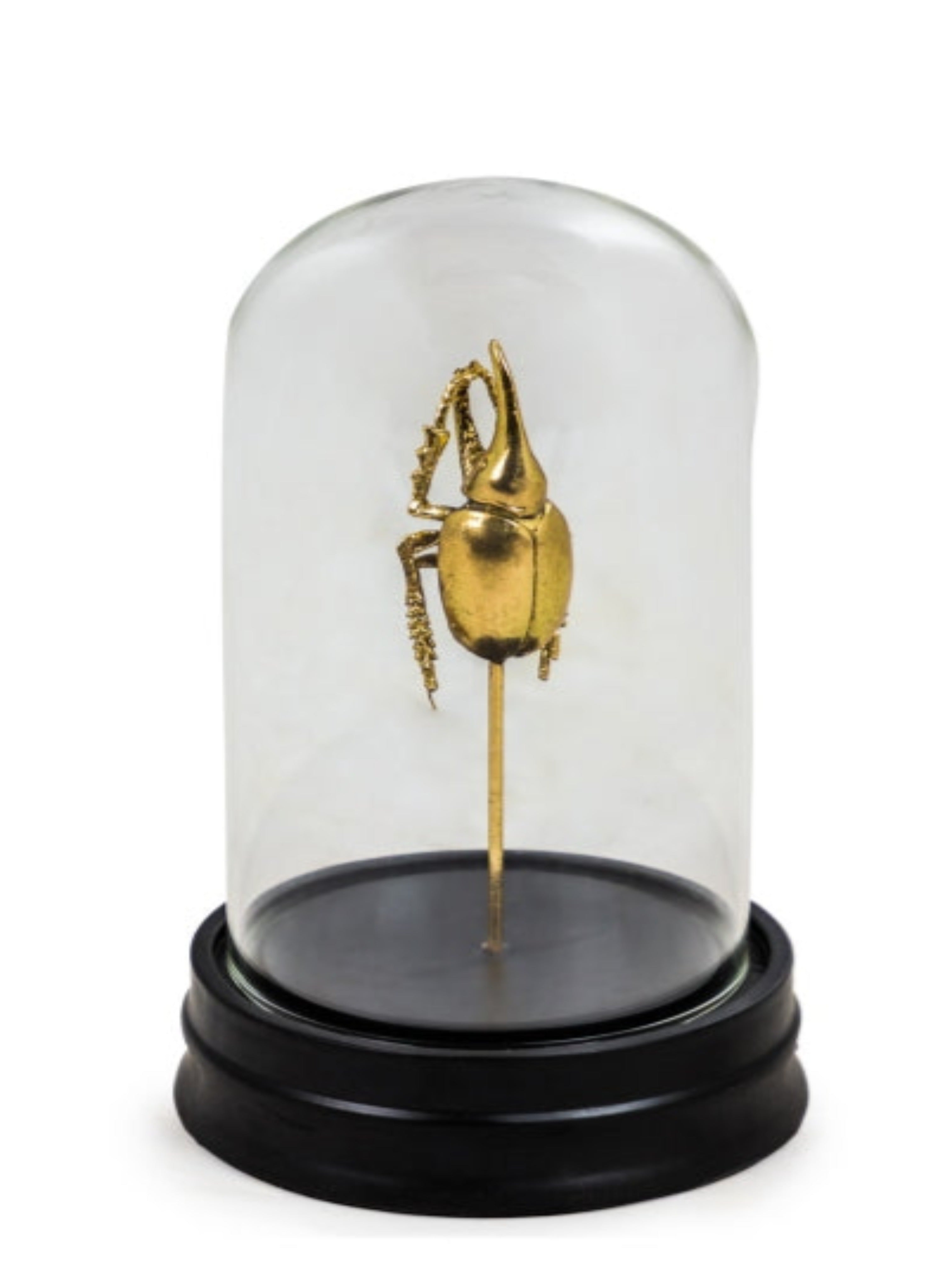Golden Hercles Beetle Ornament