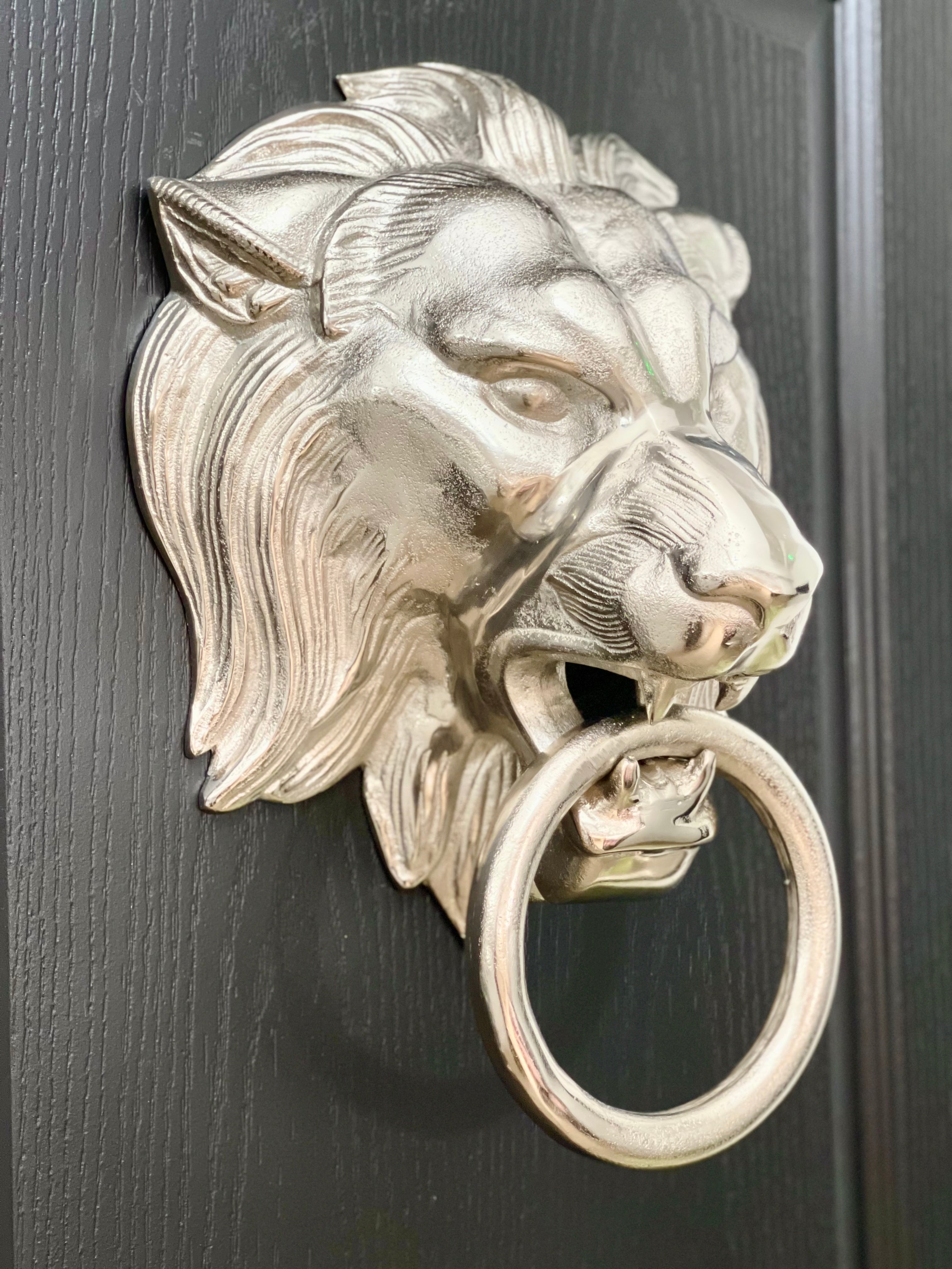 extra large silver lion head door knocker