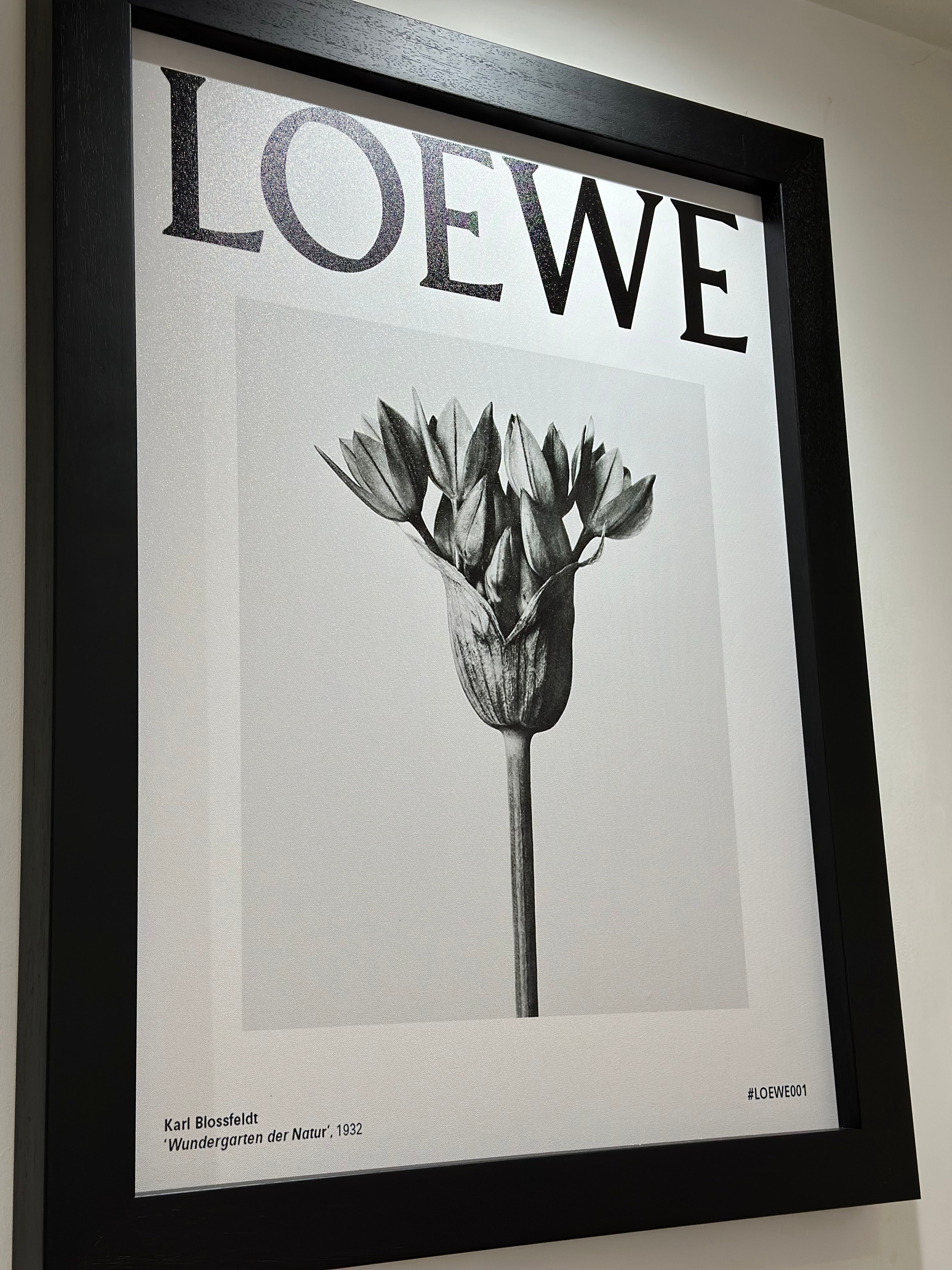 #LOEWE001 Framed Print