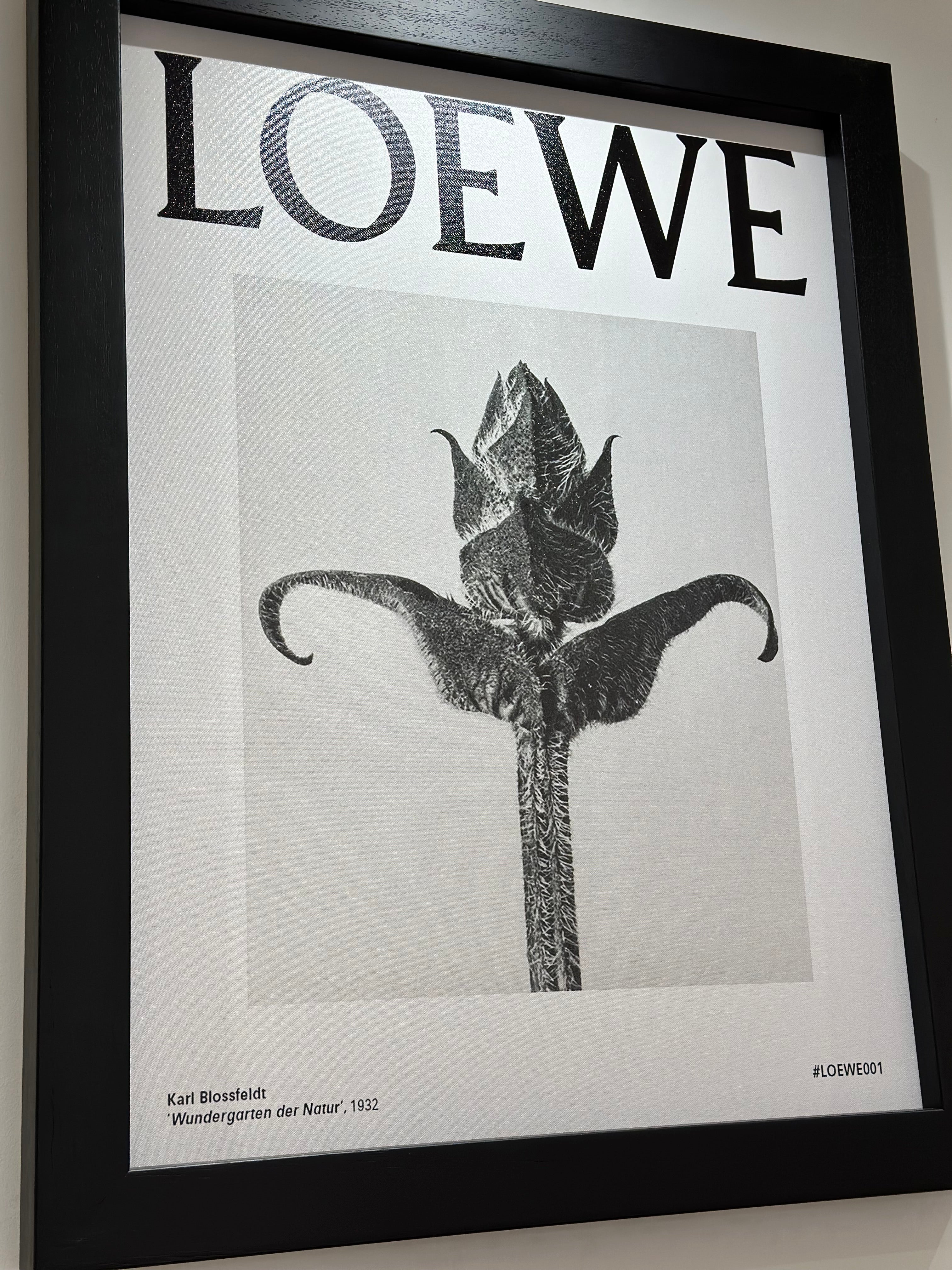 #LOEWE001 Framed Print