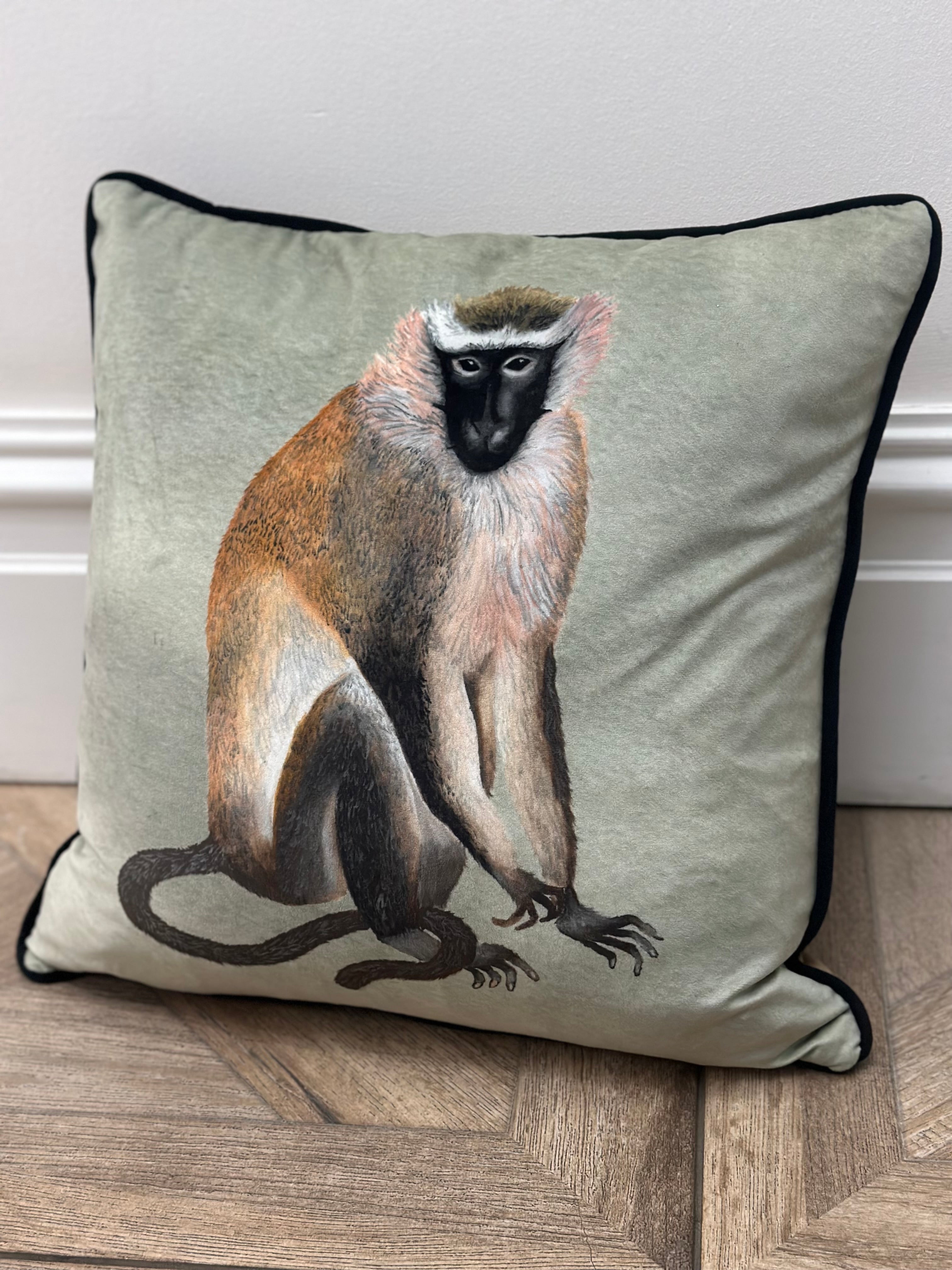 Sage Green Monkey Feather Cushion