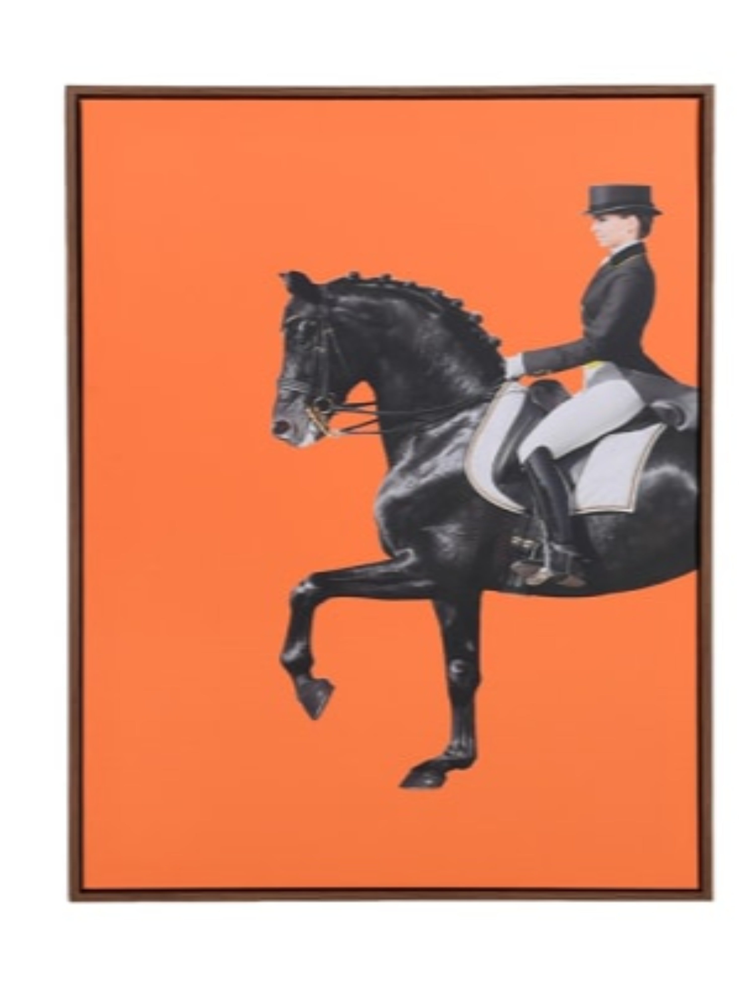 Orange Equestrian Canvas Print