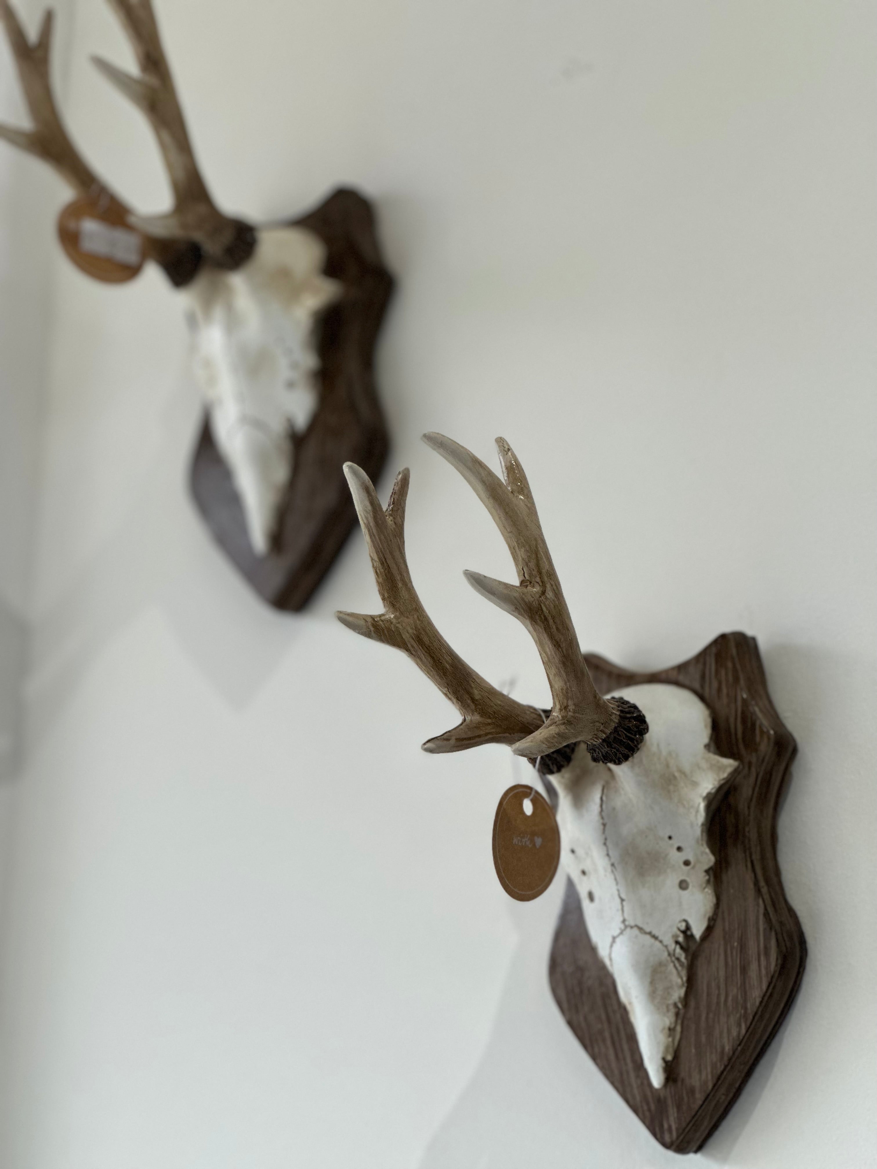 deer skull wall ornament