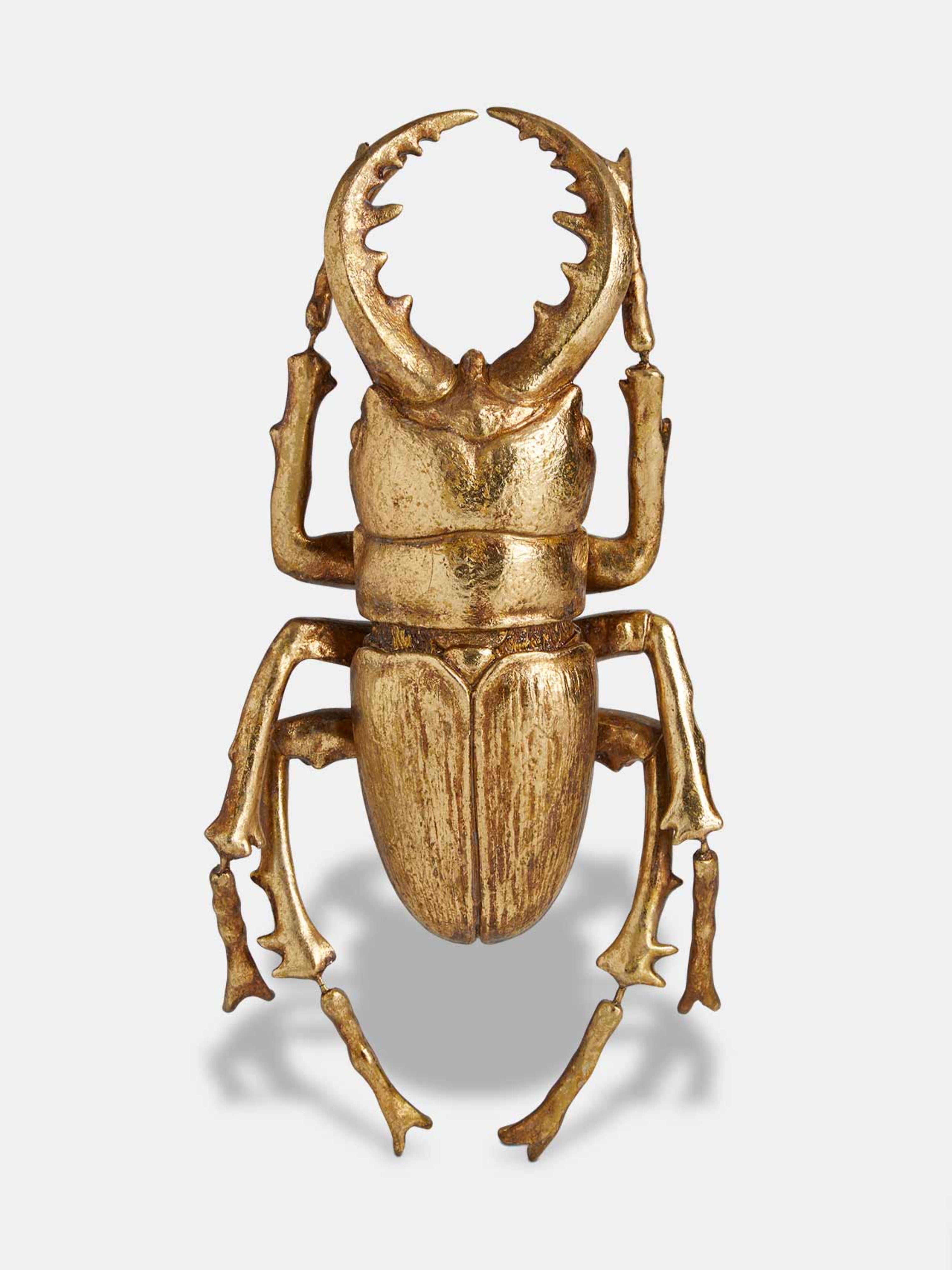Golden Stag Beetle Wall Mount