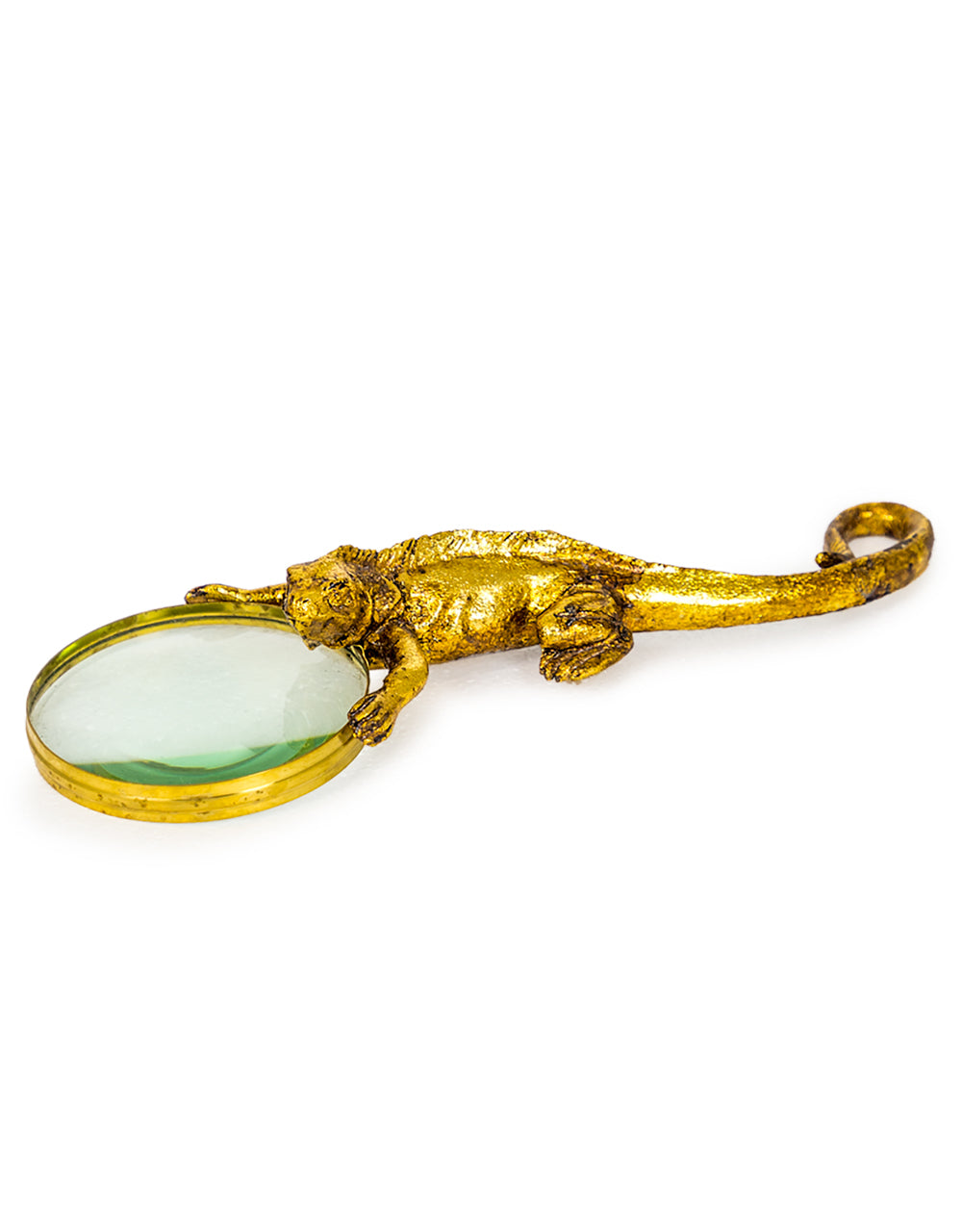 Golden Lizard Magnifying Glass