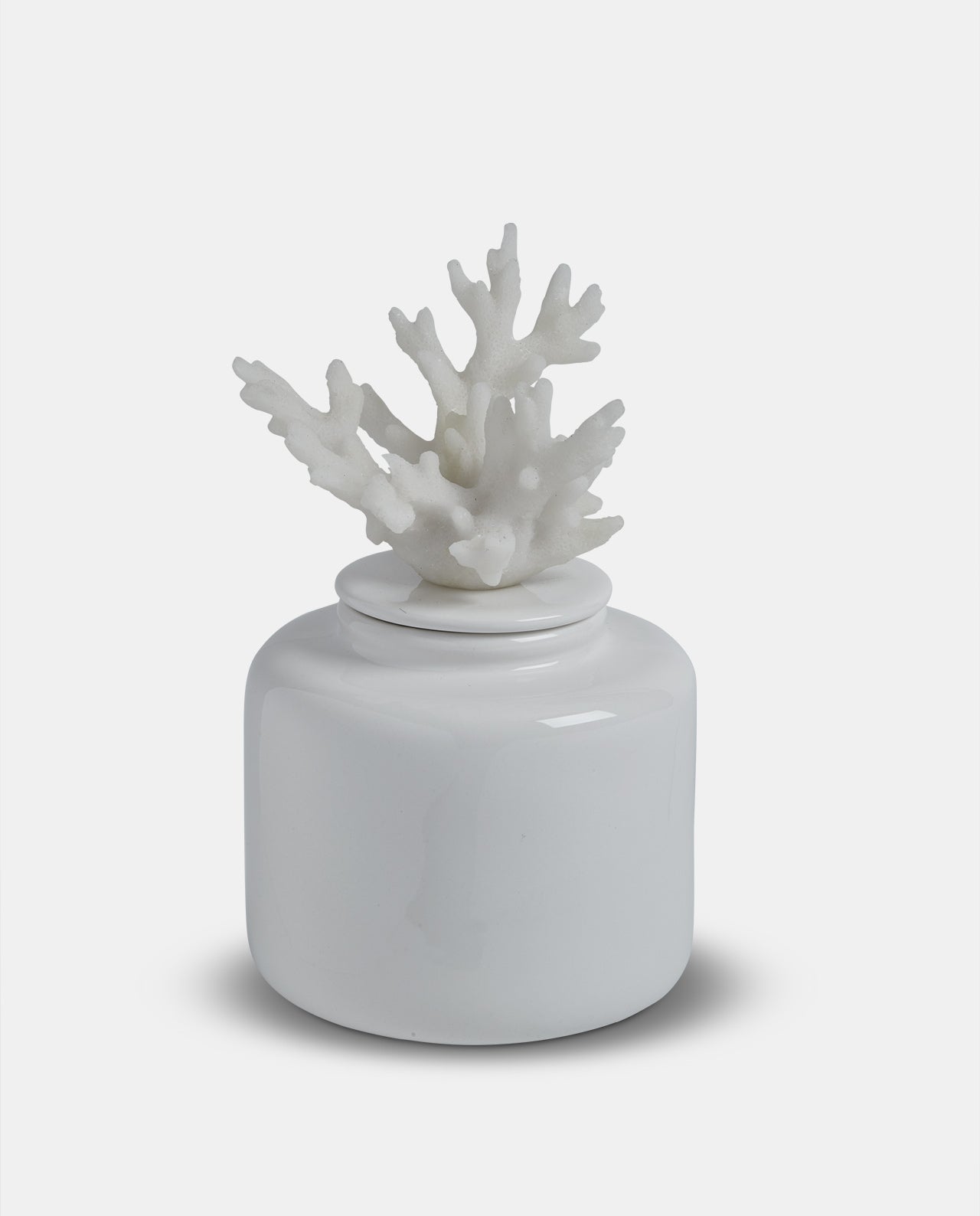 Medium White Porcelain Coral Jar