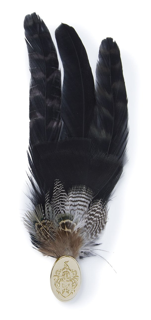 Hicks and Brown Bronze Duck Feathers Brooch