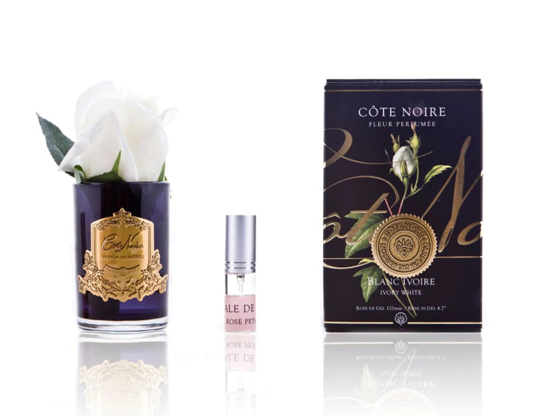 Côte Noire Perfumed Natural Touch Ivory White Rose Bud