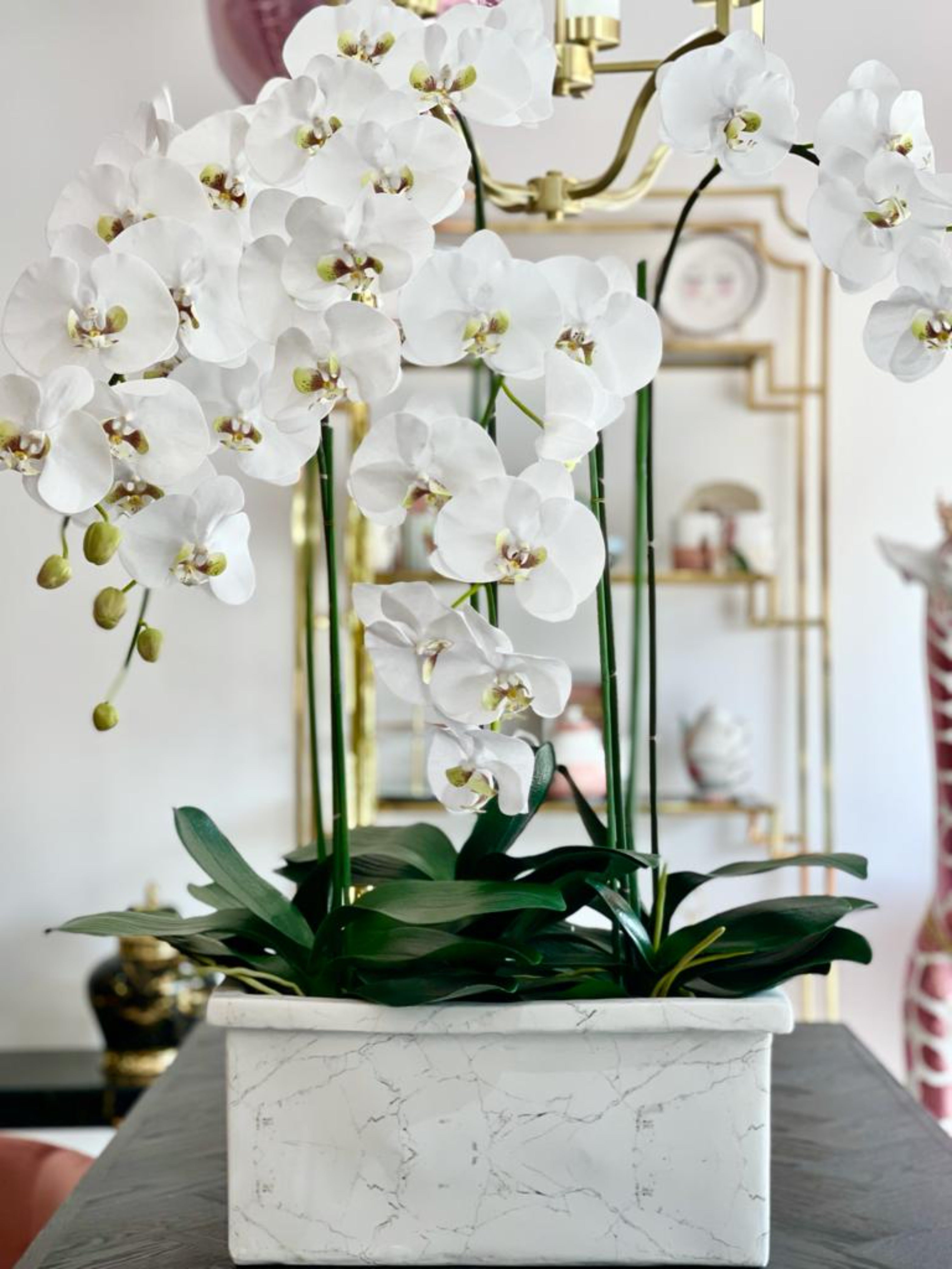 White Orchid Phalaenopsis Plant in Marble Look Planter