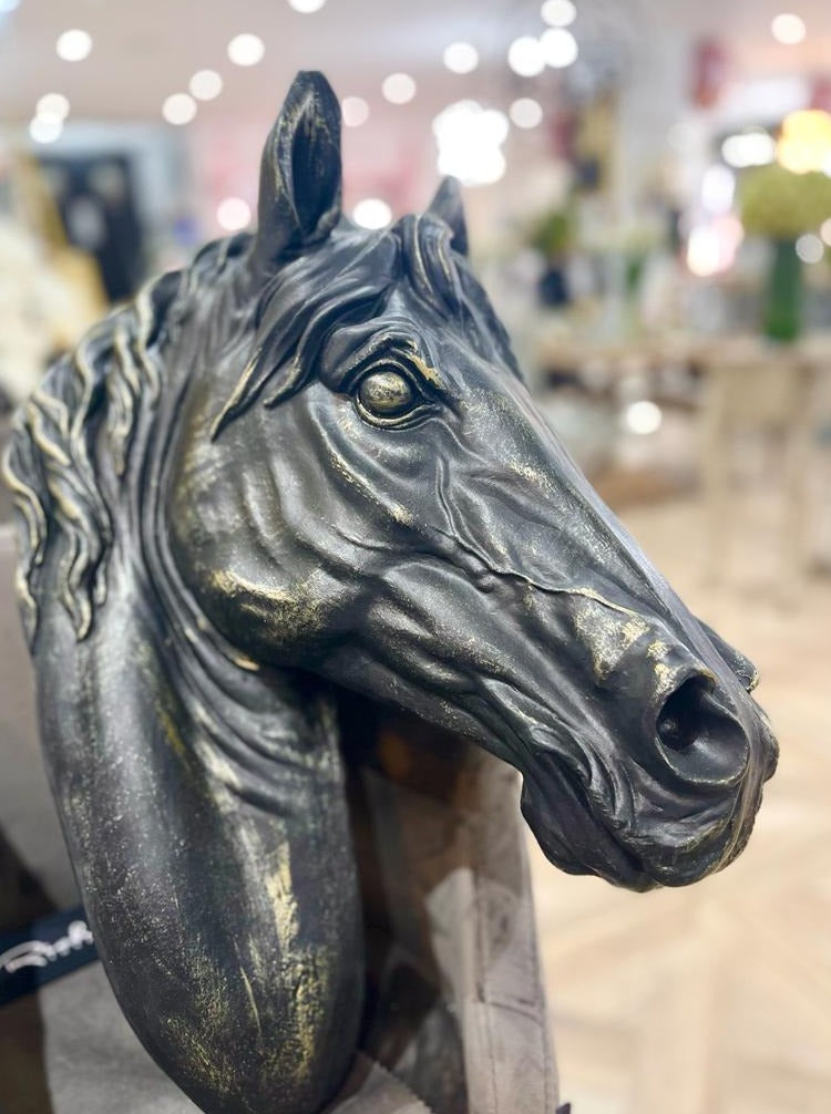 Black Horse Head with Gold Detailing