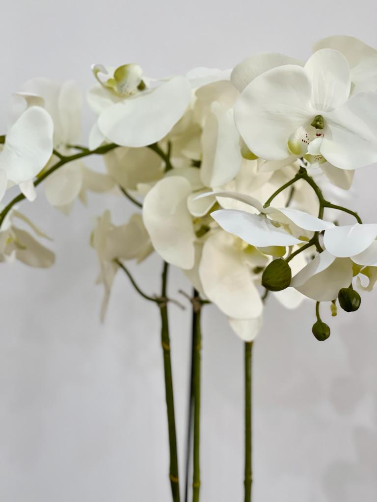 White Orchid Phalaenopsis Plant in Marble Planter