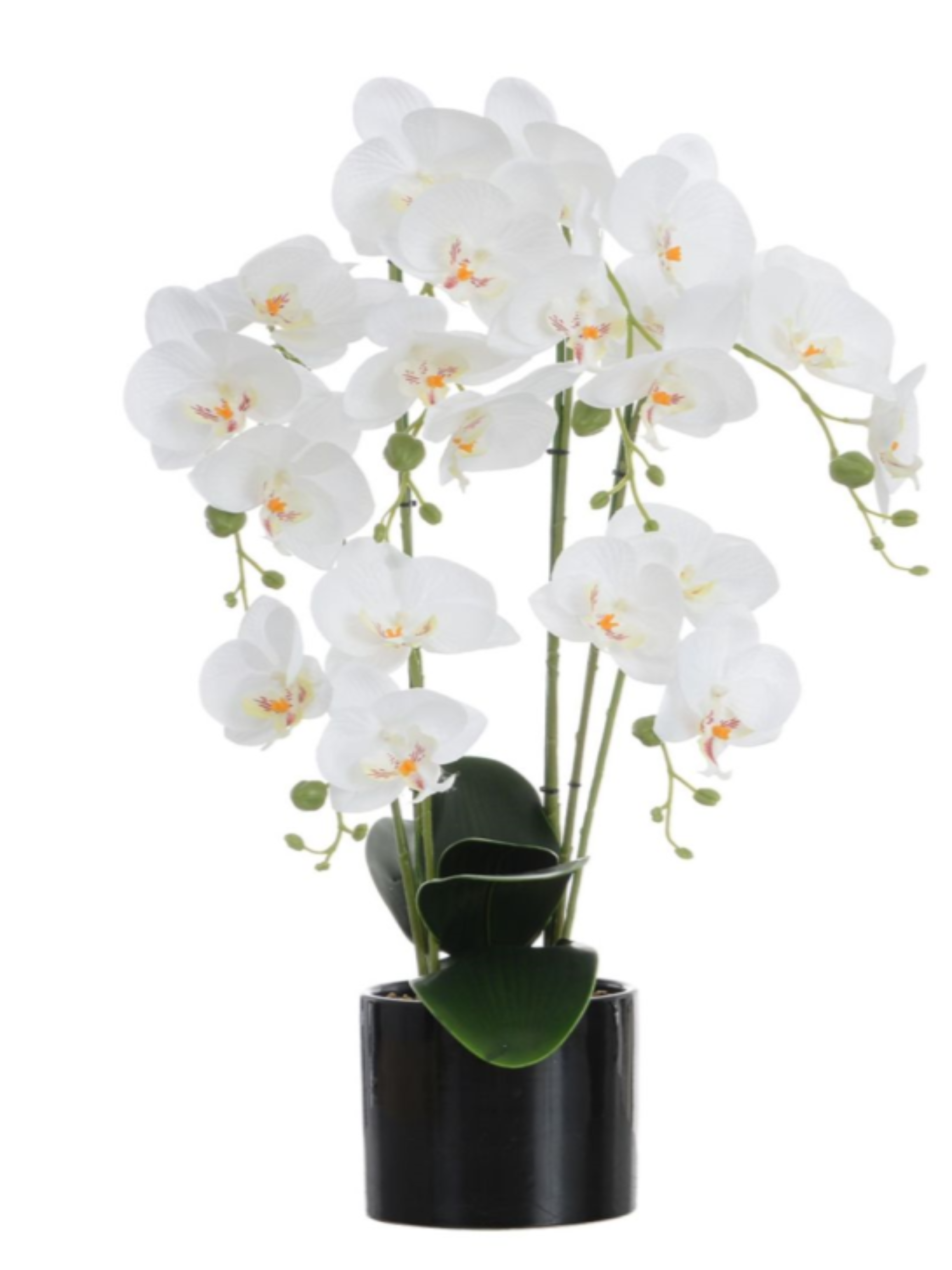 Faux Orchid Phalaenopsis Plant Arrangement