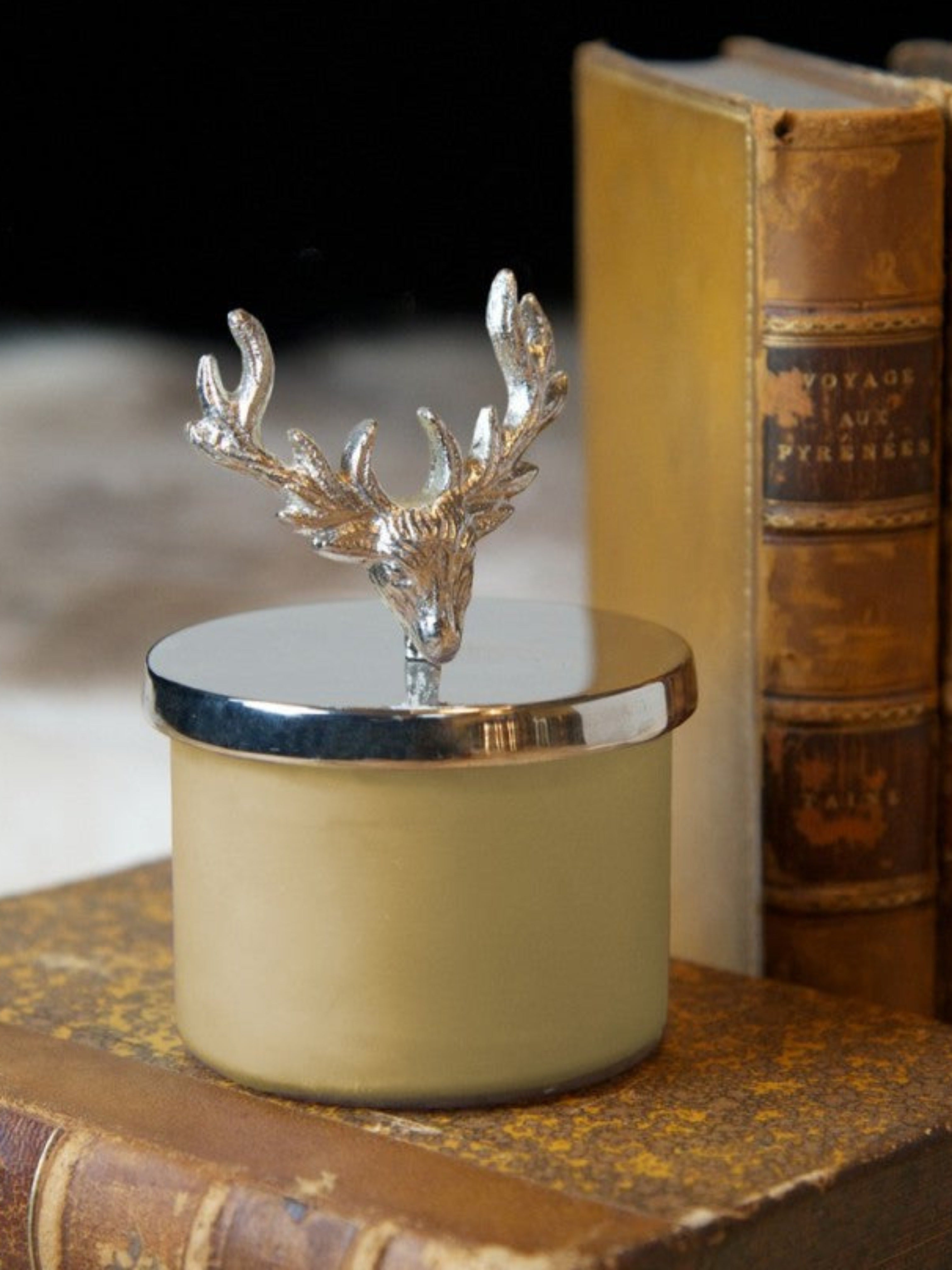culinary concepts small candle with stag lid snuffer